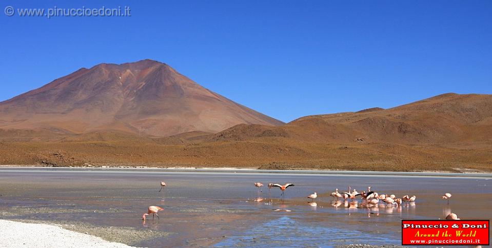 BOLIVIA 2 - Ruta de Las Joyas - Laguna Hedionda - Fenicotteri Rosa - 3.jpg